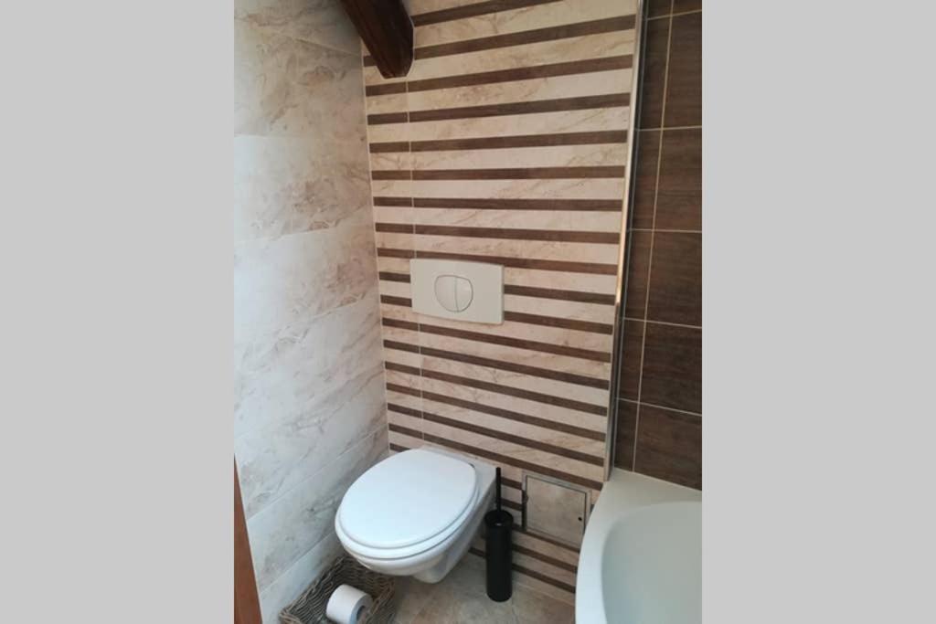 Vip Apartment In Old Town With Free Parking Братислава Экстерьер фото
