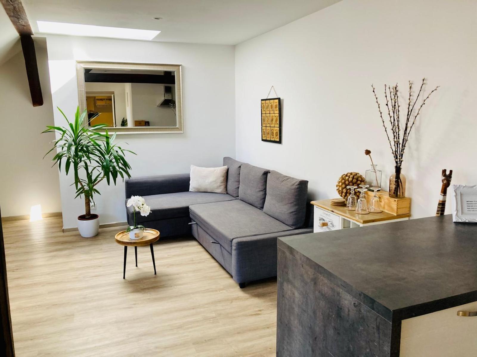 Vip Apartment In Old Town With Free Parking Братислава Экстерьер фото